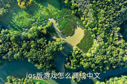 ios版游戏怎么调成中文