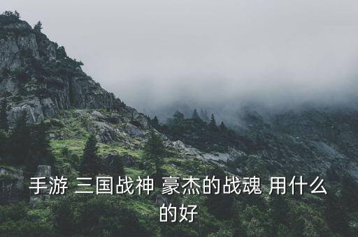 手游 三国战神 豪杰的战魂 用什么的好