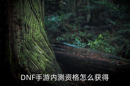 DNF手游内测资格怎么获得