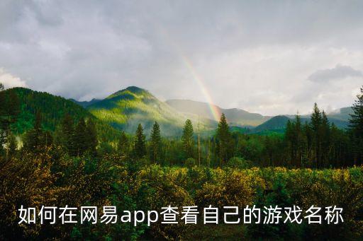 如何在网易app查看自己的游戏名称