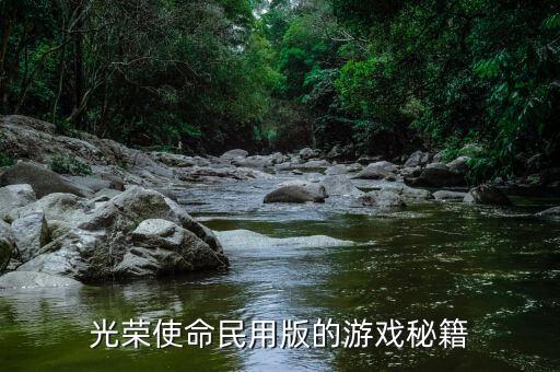 光荣使命民用版的游戏秘籍