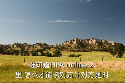 谁知道FIFA online 2 里 怎么才能卡对方让对方延时