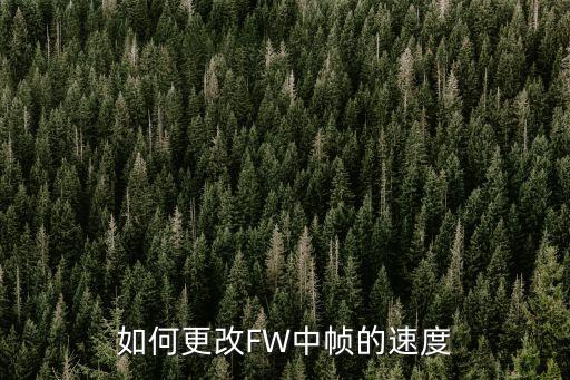 如何更改FW中帧的速度