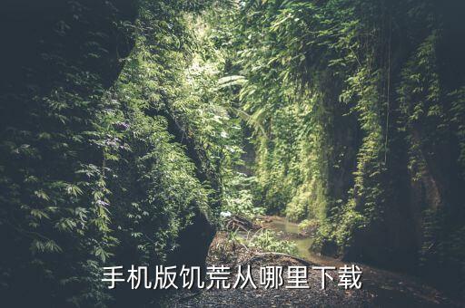 手机版饥荒从哪里下载