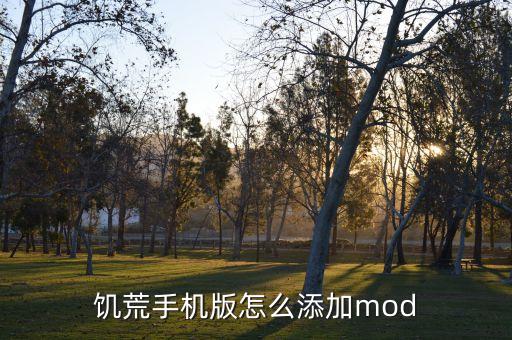 饥荒手机版怎么添加mod