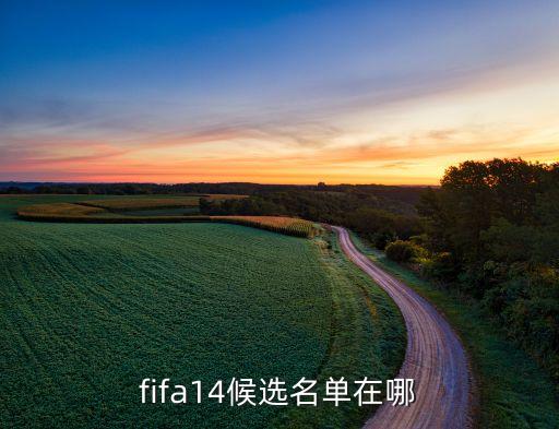 fifa14候选名单在哪