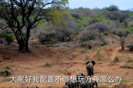 大家好我配置不够想玩方舟怎么办