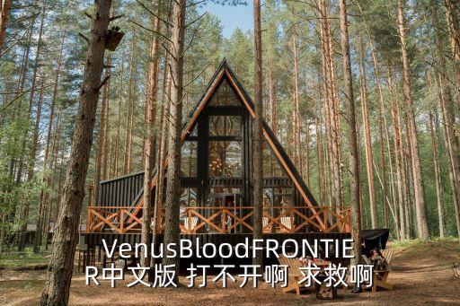 VenusBloodFRONTIER中文版 打不开啊 求救啊