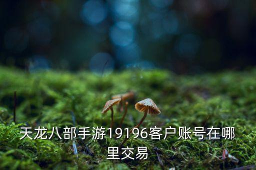 天龙八部手游19196客户账号在哪里交易