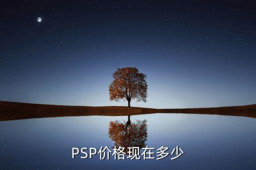 PSP价格现在多少