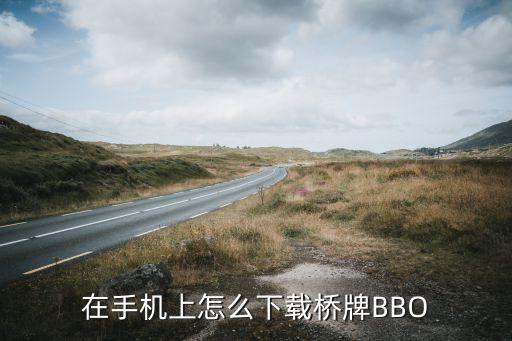 在手机上怎么下载桥牌BBO