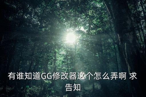 有谁知道GG修改器这个怎么弄啊 求告知