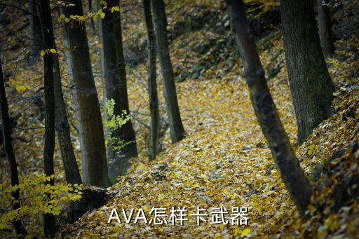 AVA怎样卡武器