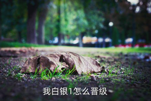 我白银1怎么晋级