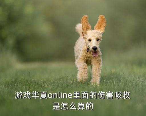 游戏华夏online里面的伤害吸收是怎么算的