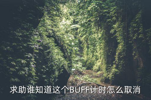 求助谁知道这个BUFF计时怎么取消