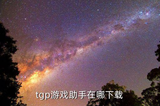 tgp游戏助手在哪下载