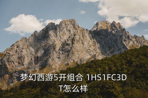 梦幻西游5开组合 1HS1FC3DT怎么样