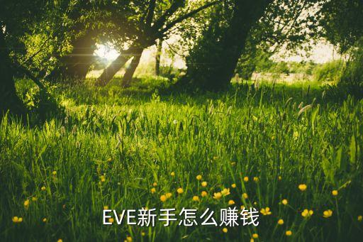 EVE新手怎么赚钱