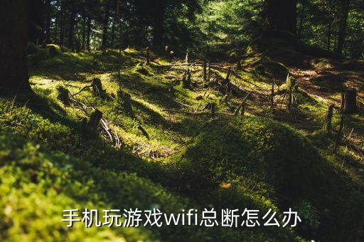 手机玩游戏wifi总断怎么办