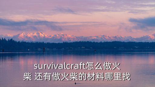 survivalcraft怎么做火柴 还有做火柴的材料哪里找