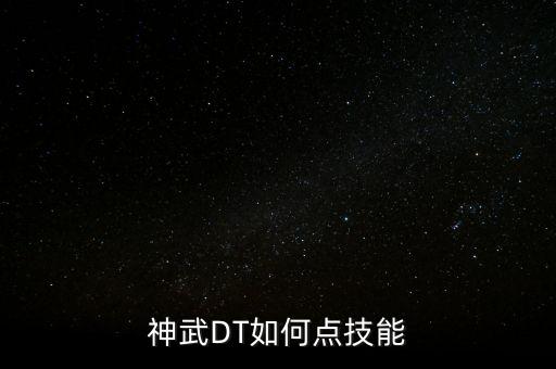 神武DT如何点技能