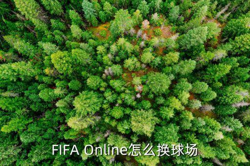 FIFA Online怎么换球场