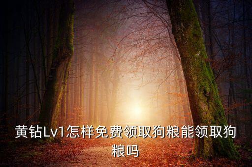 黄钻Lv1怎样免费领取狗粮能领取狗粮吗