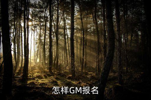 怎样GM报名