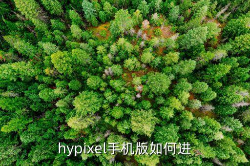 hypixel手机版如何进