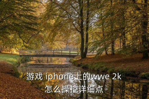 游戏 iphone上的wwe 2k怎么操控详细点