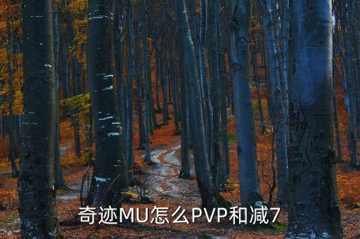 奇迹MU怎么PVP和减7