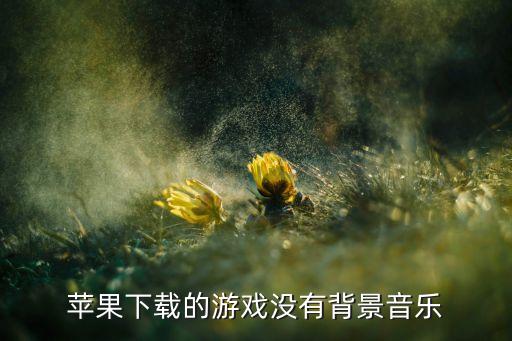 苹果下载的游戏没有背景音乐