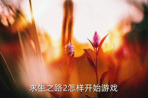 求生之路2怎样开始游戏