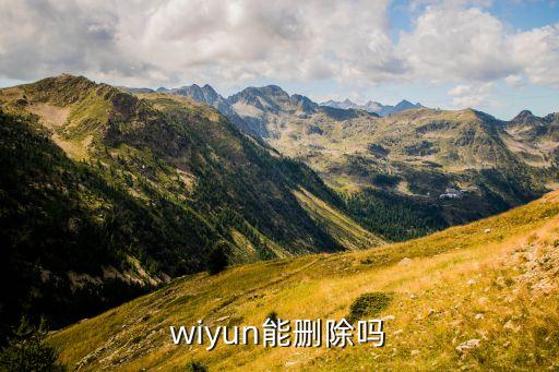 wiyun能删除吗