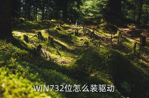 WIN732位怎么装驱动