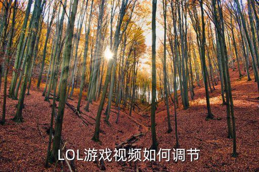 LOL游戏视频如何调节