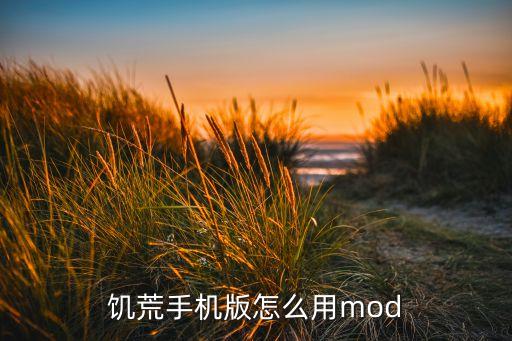 饥荒手机版怎么用mod