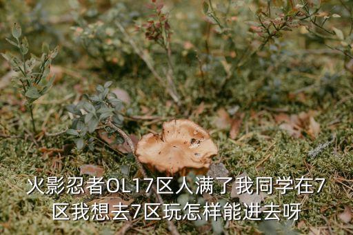 火影忍者OL17区人满了我同学在7区我想去7区玩怎样能进去呀