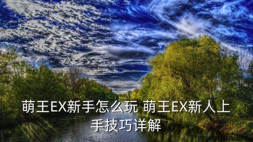 萌王EX新手怎么玩 萌王EX新人上手技巧详解