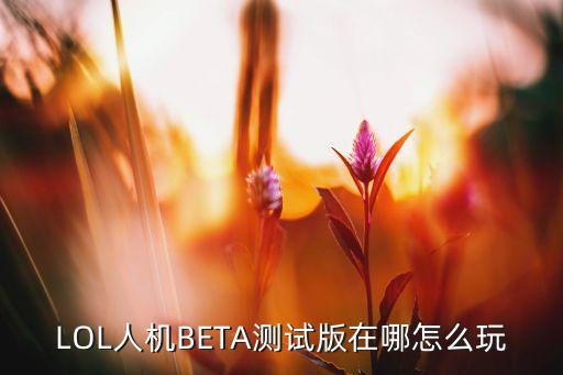 LOL人机BETA测试版在哪怎么玩