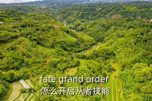 fate grand order 怎么开启从者技能