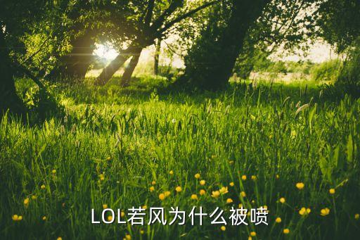 LOL若风为什么被喷