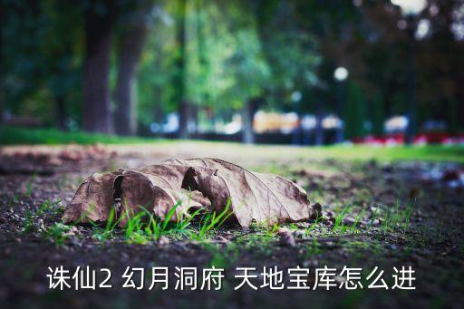 诛仙手游110层天地宝库怎么过，诛仙天地宝库还能多卡几次吗怎么卡