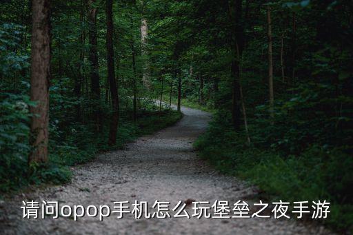 请问opop手机怎么玩堡垒之夜手游