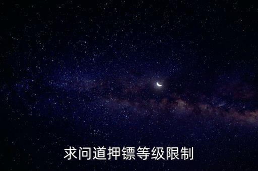 求问道押镖等级限制