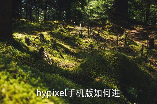 hypixel手机版如何进