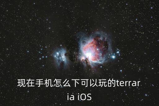 现在手机怎么下可以玩的terraria iOS