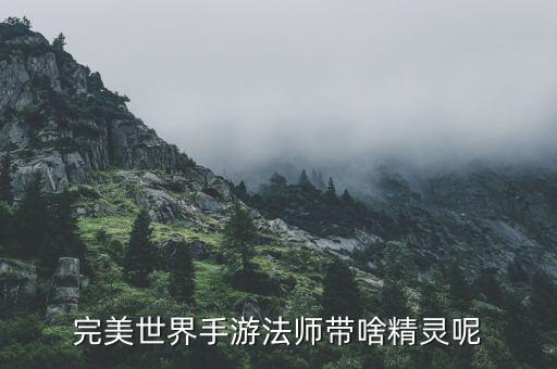 完美世界手游法师带啥精灵呢