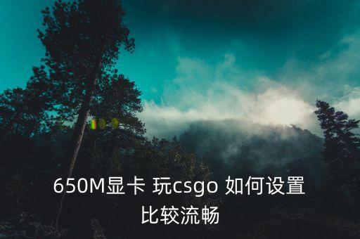 650M显卡 玩csgo 如何设置比较流畅